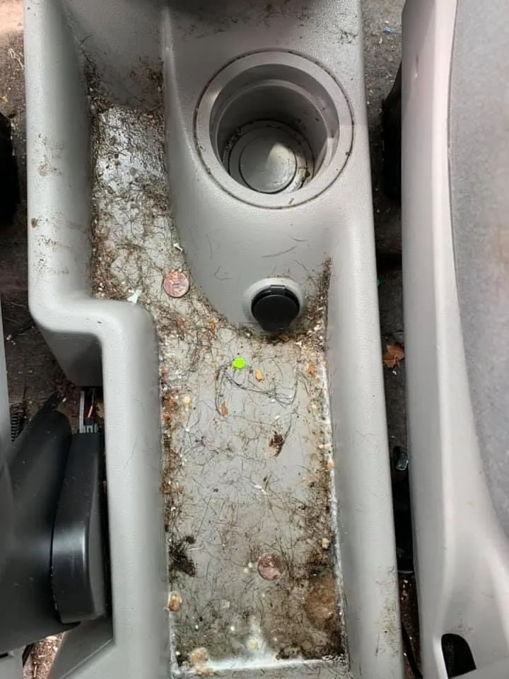 Carpet and upholstery shampoo, before